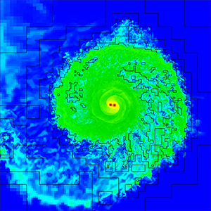 MR simulation of a common envelope binary system