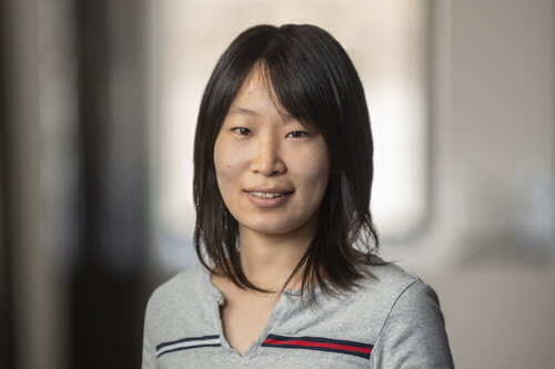 Profile picture for Jiayin Dong