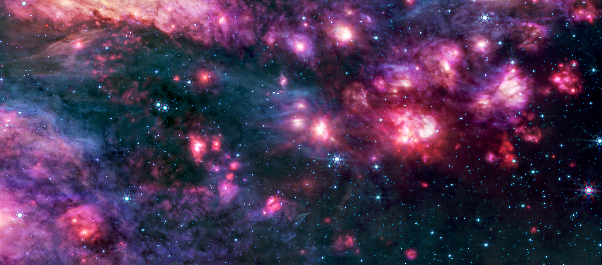 A cluster of stars.