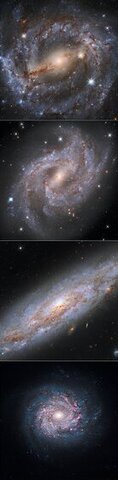 Images from the NASA/ESA Hubble Space Telescope features galaxies that are all hosts to both Cepheid variables and supernovae